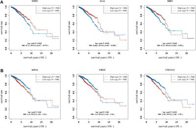 A Novel Five-Gene Signature Related to Clinical Outcome and Immune Microenvironment in Breast Cancer